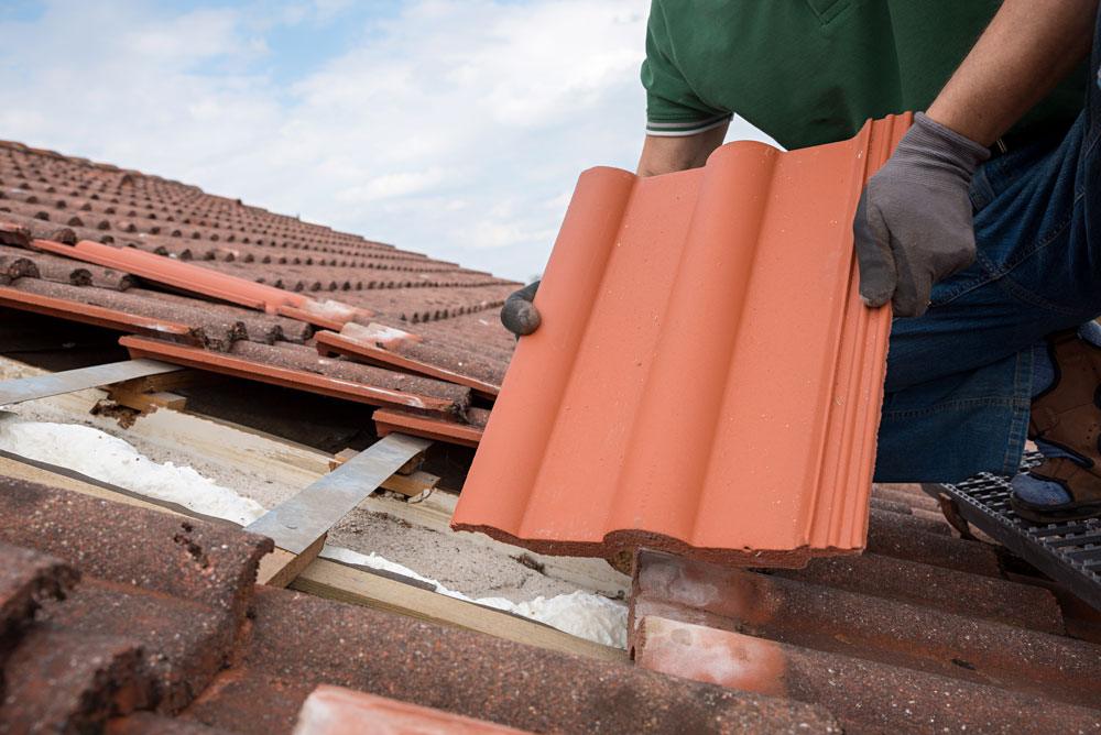 Roofer holding a new terracotta roof tile beside removed tiles on a sloped roof
